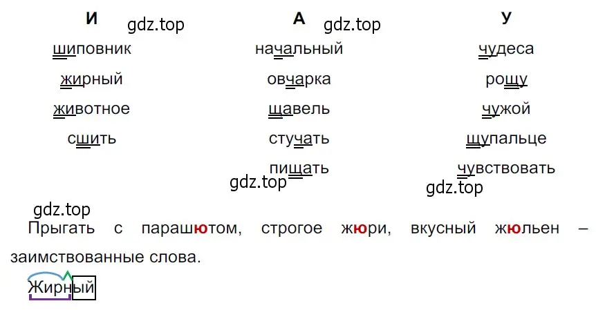 Решение 3. Номер 24 (страница 12) гдз по русскому языку 5 класс Ладыженская, Баранов, учебник 1 часть