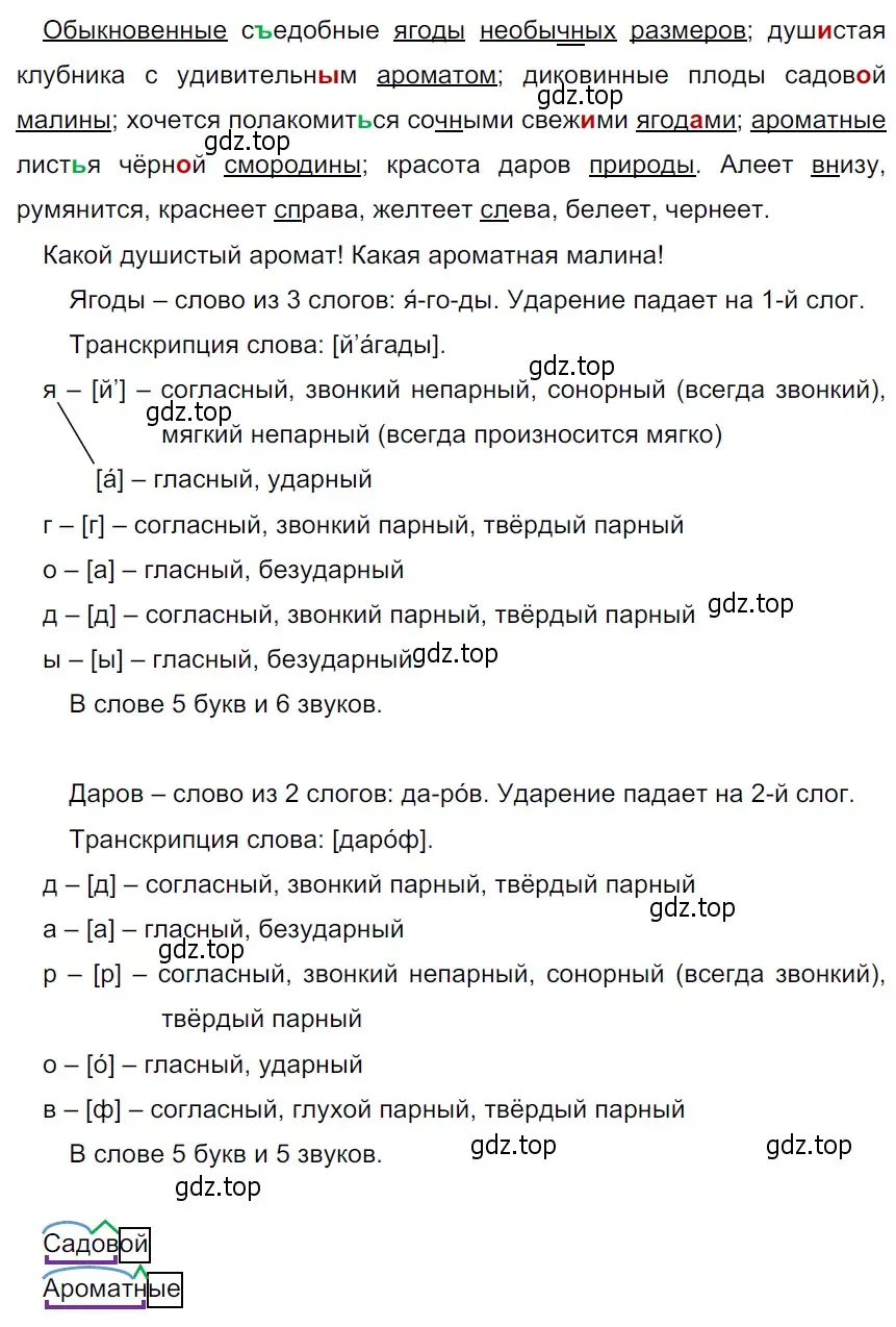 Решение 3. Номер 244 (страница 127) гдз по русскому языку 5 класс Ладыженская, Баранов, учебник 1 часть