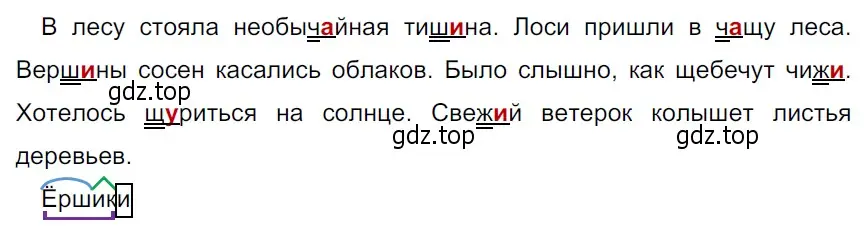 Решение 3. Номер 26 (страница 13) гдз по русскому языку 5 класс Ладыженская, Баранов, учебник 1 часть