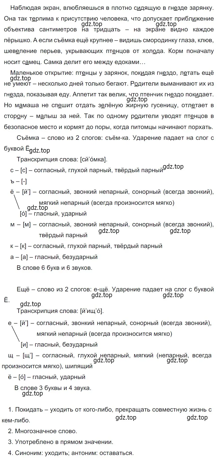 Решение 3. Номер 386 (страница 183) гдз по русскому языку 5 класс Ладыженская, Баранов, учебник 1 часть