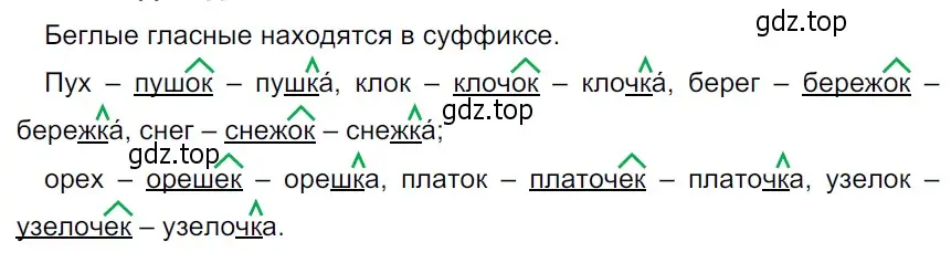 Решение 3. Номер 393 (страница 187) гдз по русскому языку 5 класс Ладыженская, Баранов, учебник 1 часть