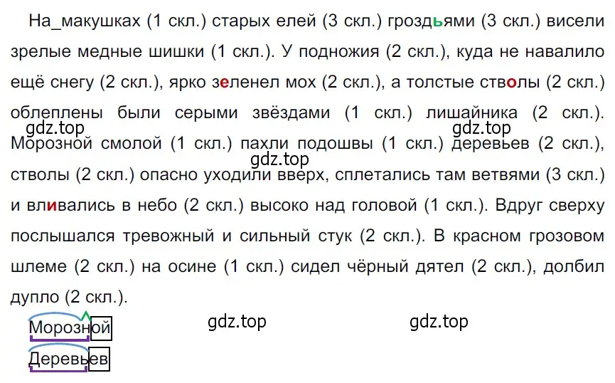 Решение 3. Номер 48 (страница 22) гдз по русскому языку 5 класс Ладыженская, Баранов, учебник 1 часть