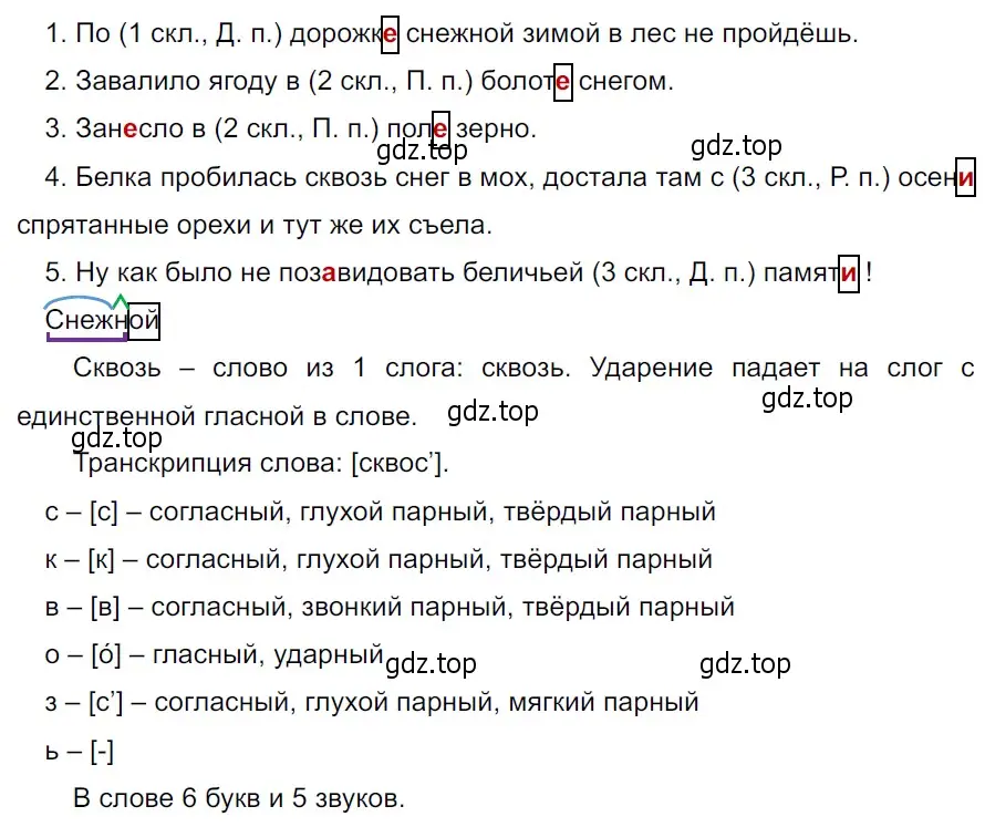 Решение 3. Номер 519 (страница 31) гдз по русскому языку 5 класс Ладыженская, Баранов, учебник 2 часть