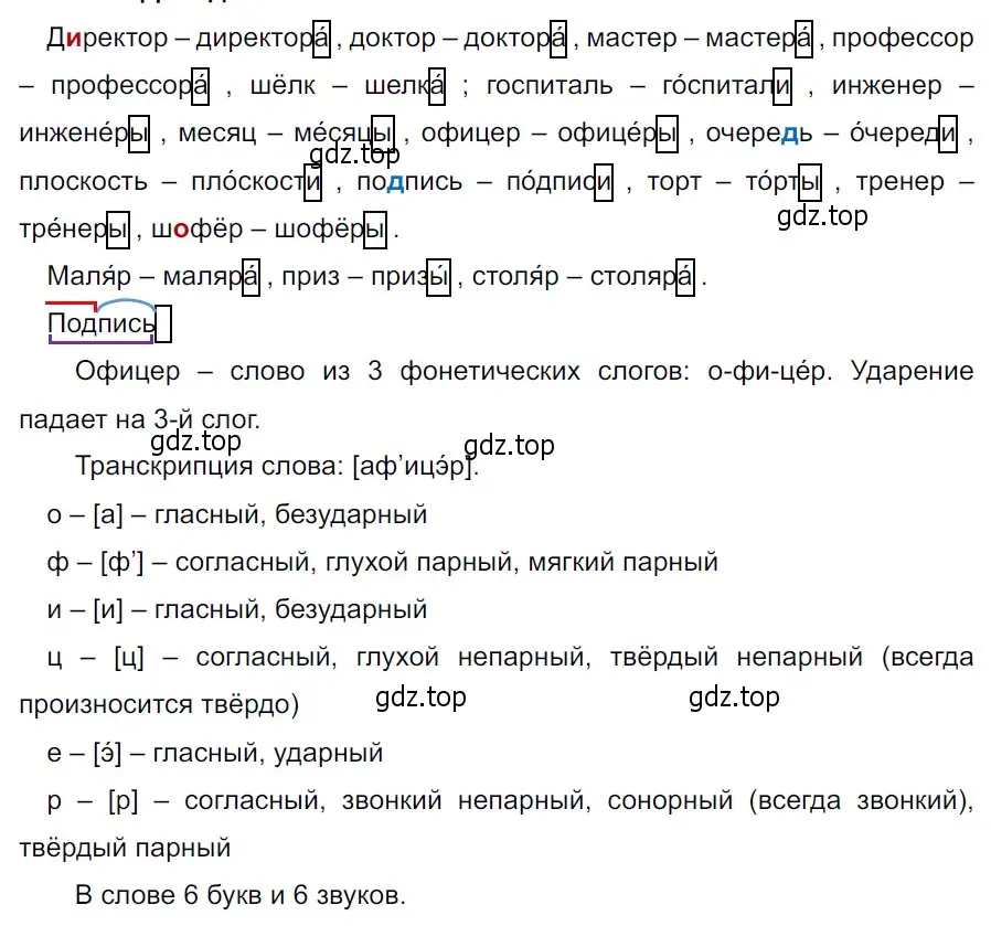 Решение 3. Номер 531 (страница 37) гдз по русскому языку 5 класс Ладыженская, Баранов, учебник 2 часть