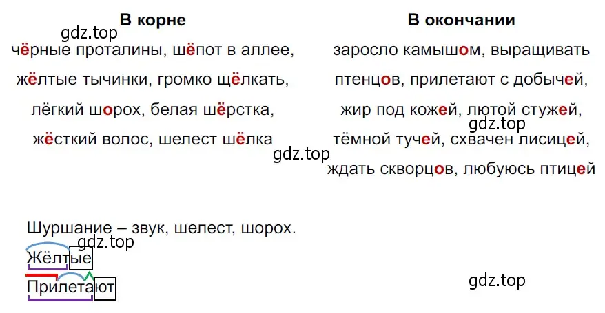 Решение 3. Номер 542 (страница 41) гдз по русскому языку 5 класс Ладыженская, Баранов, учебник 2 часть