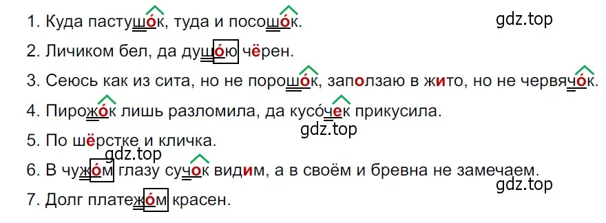 Решение 3. Номер 593 (страница 60) гдз по русскому языку 5 класс Ладыженская, Баранов, учебник 2 часть