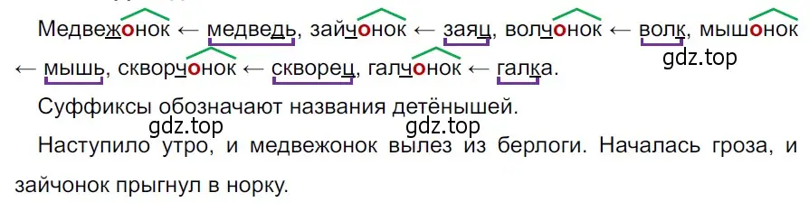 Решение 3. Номер 595 (страница 61) гдз по русскому языку 5 класс Ладыженская, Баранов, учебник 2 часть