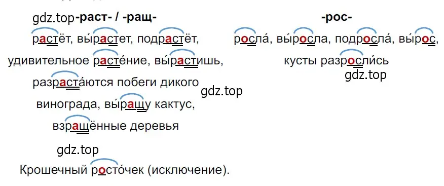 Решение 3. Номер 611 (страница 67) гдз по русскому языку 5 класс Ладыженская, Баранов, учебник 2 часть