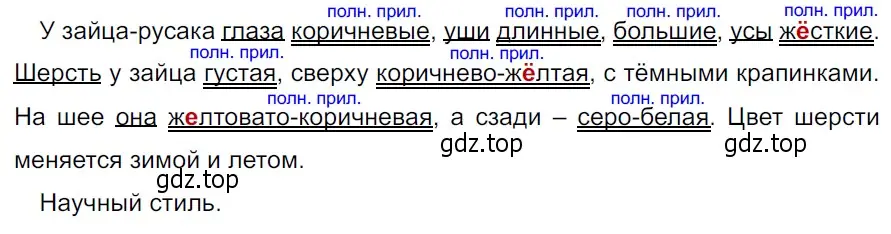 Решение 3. Номер 656 (страница 90) гдз по русскому языку 5 класс Ладыженская, Баранов, учебник 2 часть