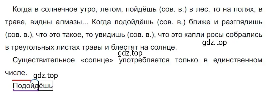 Решение 3. Номер 743 (страница 126) гдз по русскому языку 5 класс Ладыженская, Баранов, учебник 2 часть