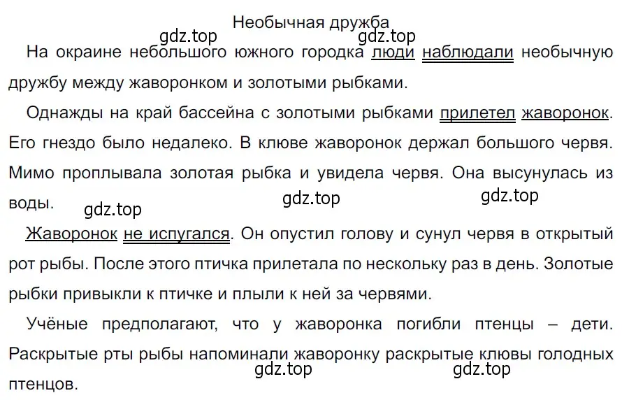 Решение 3. Номер 848 (страница 176) гдз по русскому языку 5 класс Ладыженская, Баранов, учебник 2 часть