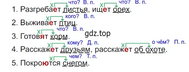 Решение 3. Номер 862 (страница 182) гдз по русскому языку 5 класс Ладыженская, Баранов, учебник 2 часть