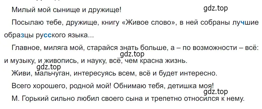 Решение 3. Номер 904 (страница 202) гдз по русскому языку 5 класс Ладыженская, Баранов, учебник 2 часть