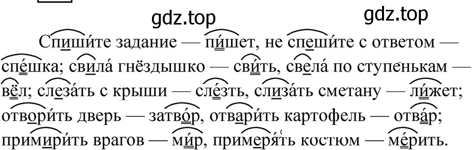 Решение 4. Номер 19 (страница 11) гдз по русскому языку 5 класс Ладыженская, Баранов, учебник 1 часть