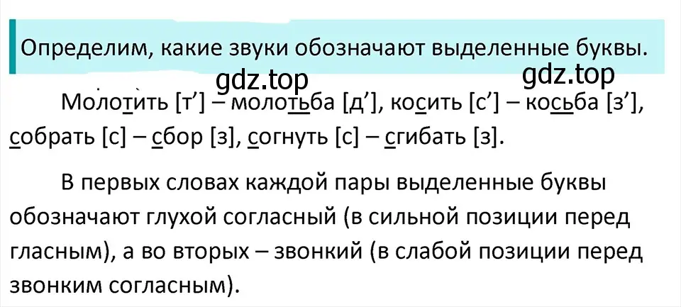 Решение 4. Номер 191 (страница 104) гдз по русскому языку 5 класс Ладыженская, Баранов, учебник 1 часть