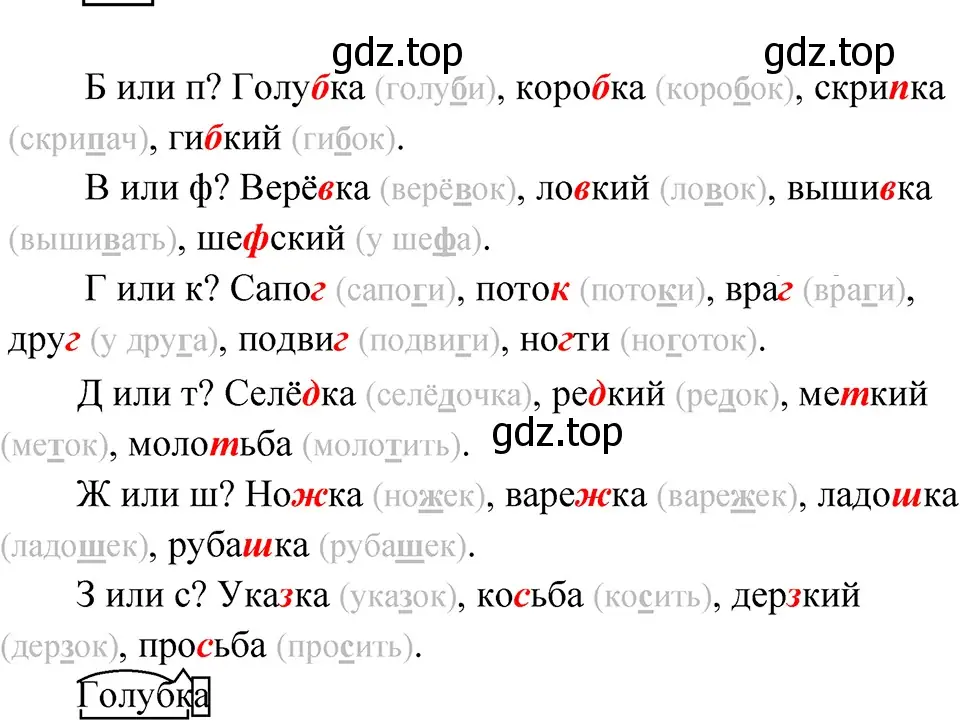 Решение 4. Номер 20 (страница 11) гдз по русскому языку 5 класс Ладыженская, Баранов, учебник 1 часть