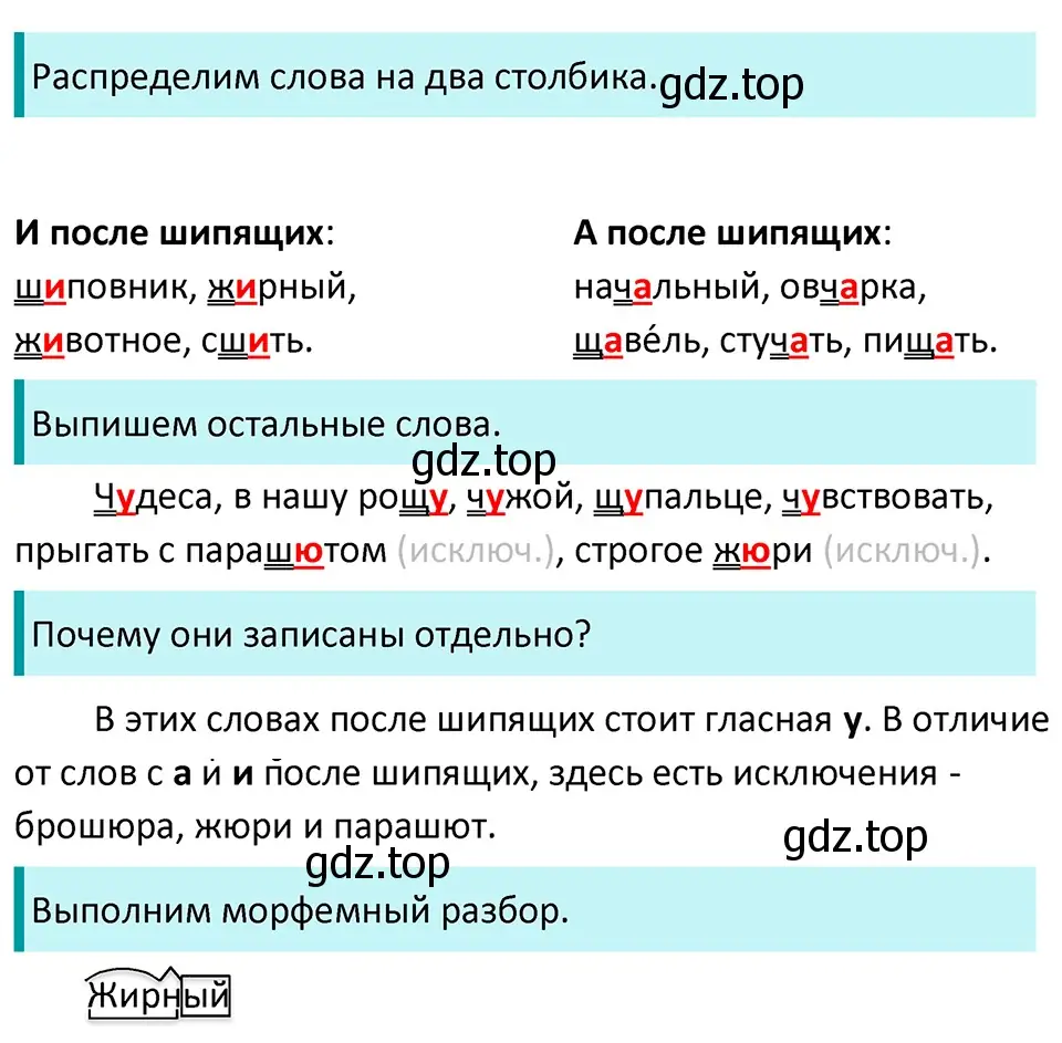 Решение 4. Номер 24 (страница 12) гдз по русскому языку 5 класс Ладыженская, Баранов, учебник 1 часть