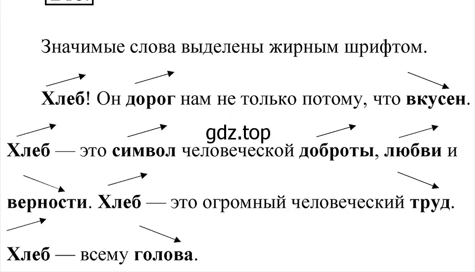 Решение 4. Номер 240 (страница 125) гдз по русскому языку 5 класс Ладыженская, Баранов, учебник 1 часть