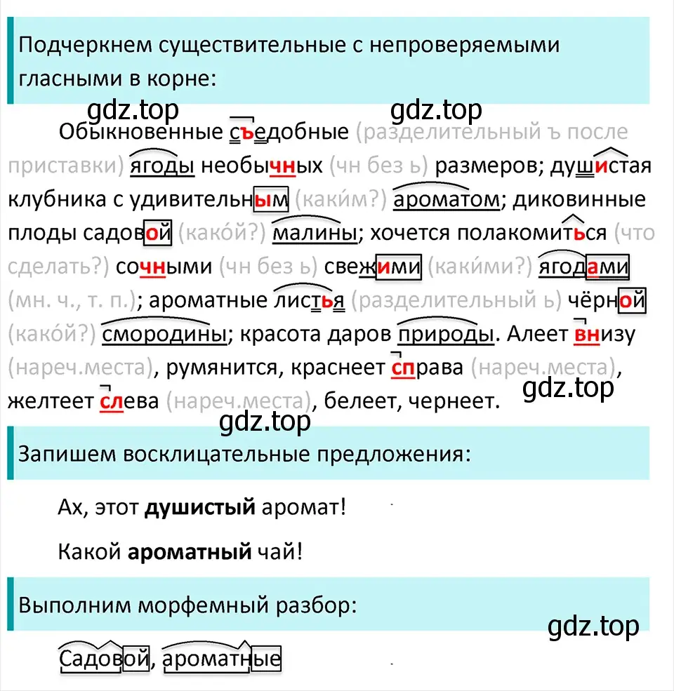 Решение 4. Номер 244 (страница 127) гдз по русскому языку 5 класс Ладыженская, Баранов, учебник 1 часть