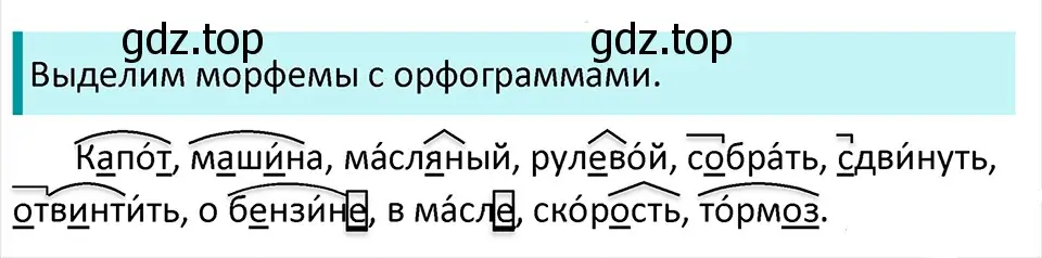 Решение 4. Номер 255 (страница 131) гдз по русскому языку 5 класс Ладыженская, Баранов, учебник 1 часть