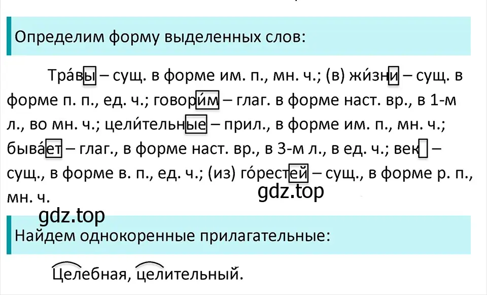 Решение 4. Номер 347 (страница 169) гдз по русскому языку 5 класс Ладыженская, Баранов, учебник 1 часть