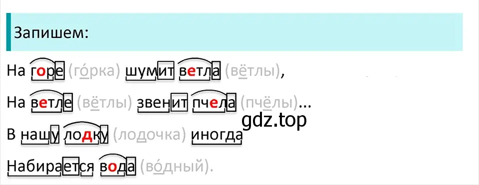 Решение 4. Номер 356 (страница 174) гдз по русскому языку 5 класс Ладыженская, Баранов, учебник 1 часть