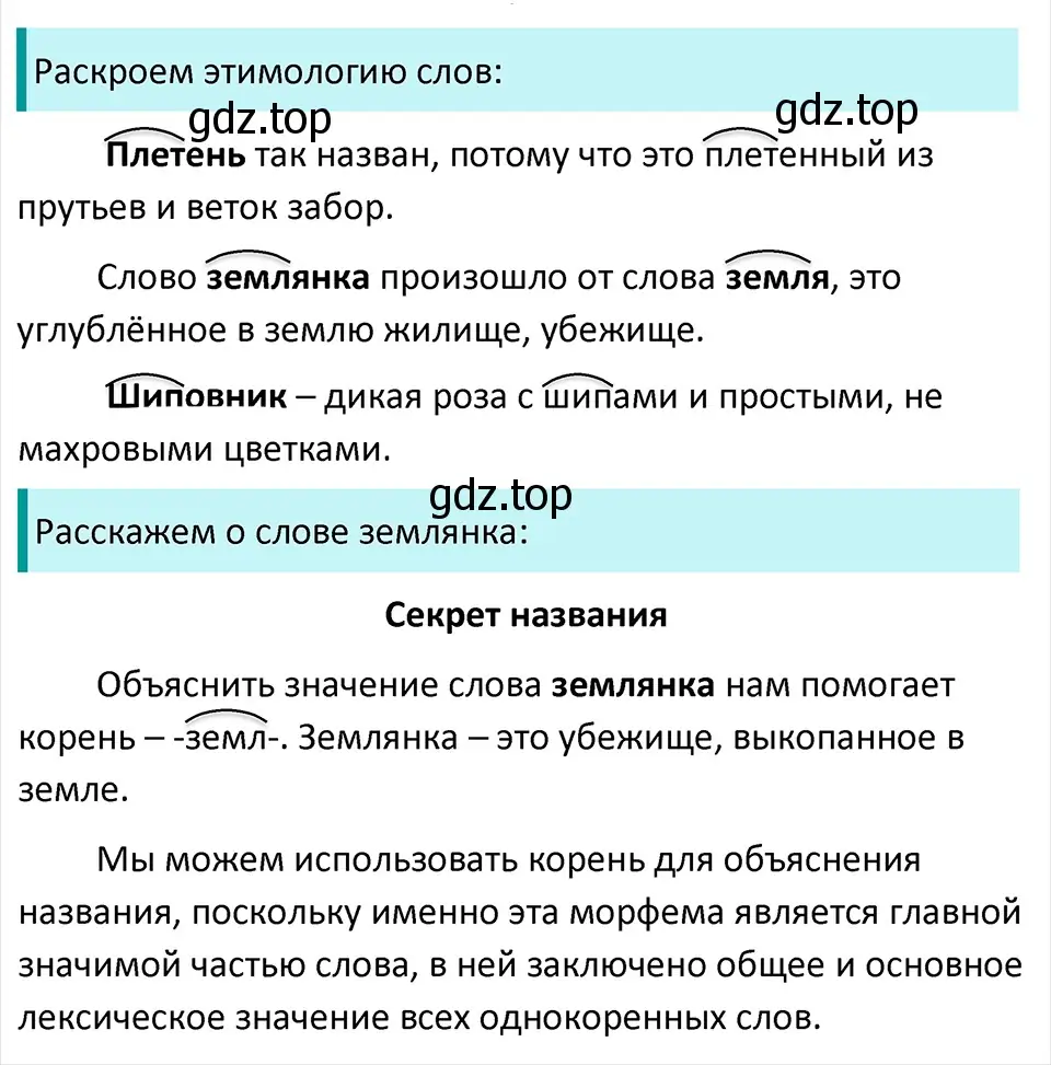 Решение 4. Номер 367 (страница 177) гдз по русскому языку 5 класс Ладыженская, Баранов, учебник 1 часть