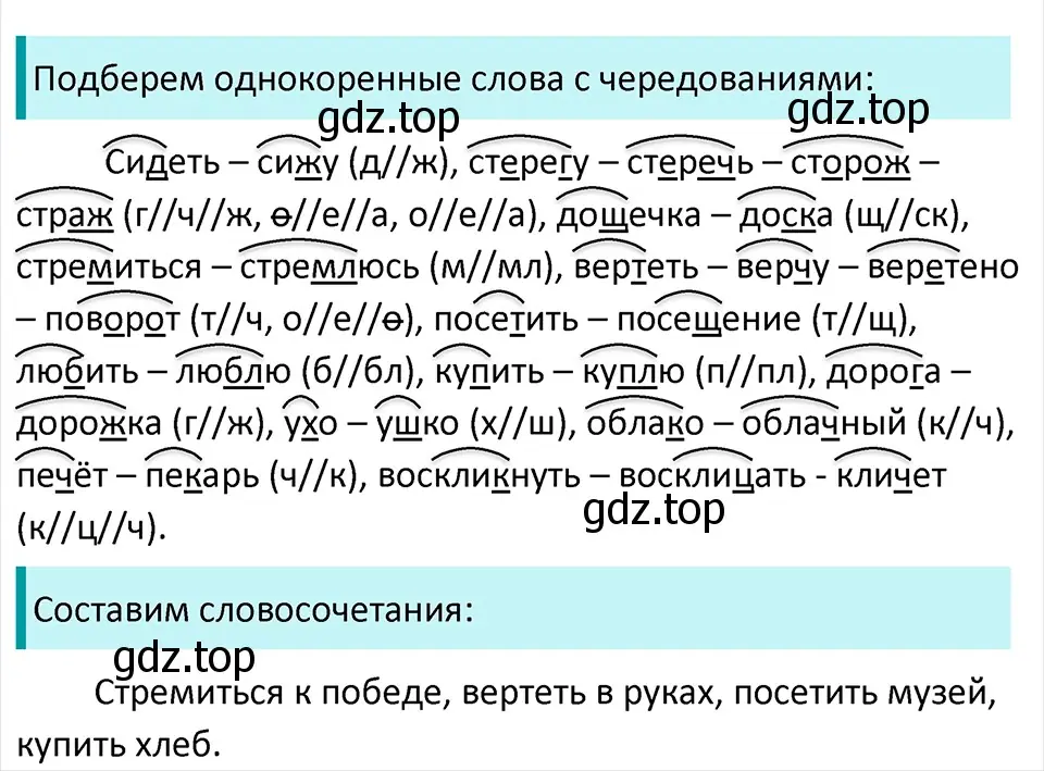 Решение 4. Номер 389 (страница 185) гдз по русскому языку 5 класс Ладыженская, Баранов, учебник 1 часть