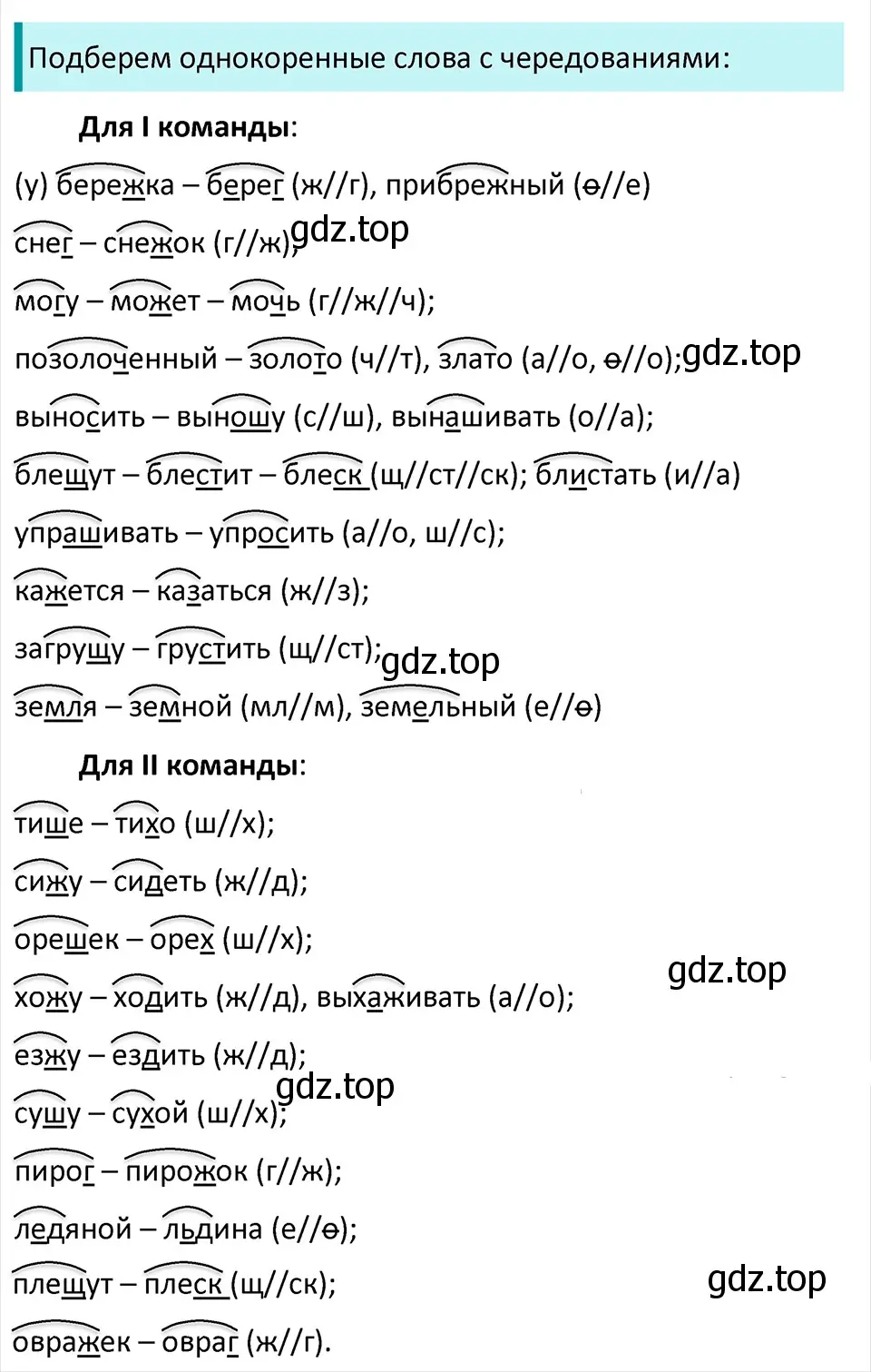 Решение 4. Номер 390 (страница 185) гдз по русскому языку 5 класс Ладыженская, Баранов, учебник 1 часть