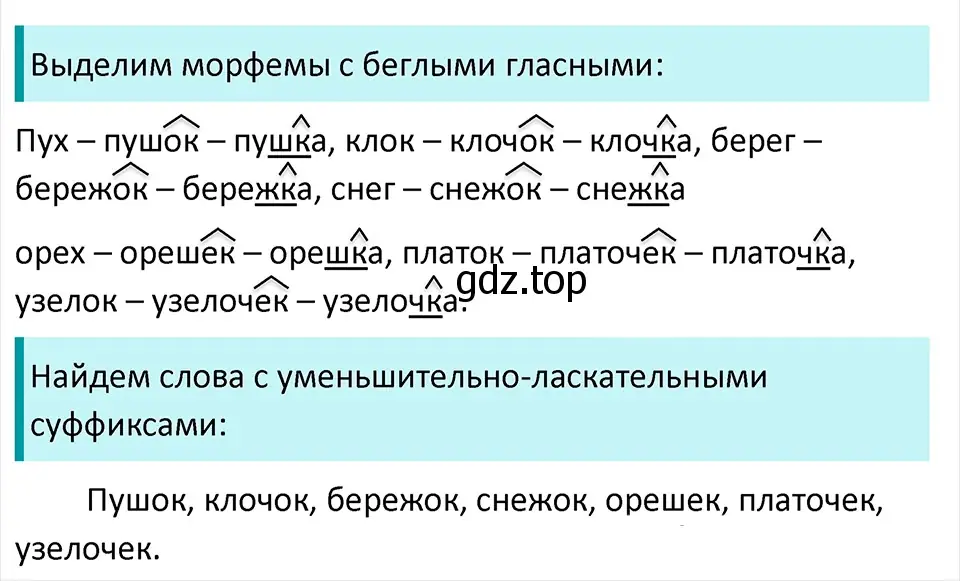 Решение 4. Номер 393 (страница 187) гдз по русскому языку 5 класс Ладыженская, Баранов, учебник 1 часть