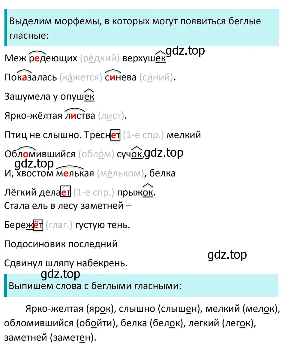 Решение 4. Номер 394 (страница 187) гдз по русскому языку 5 класс Ладыженская, Баранов, учебник 1 часть