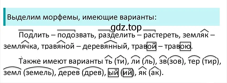 Решение 4. Номер 398 (страница 188) гдз по русскому языку 5 класс Ладыженская, Баранов, учебник 1 часть