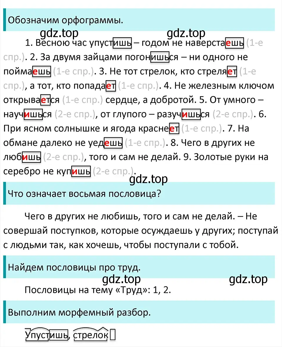 Решение 4. Номер 41 (страница 20) гдз по русскому языку 5 класс Ладыженская, Баранов, учебник 1 часть