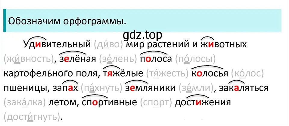 Решение 4. Номер 411 (страница 194) гдз по русскому языку 5 класс Ладыженская, Баранов, учебник 1 часть