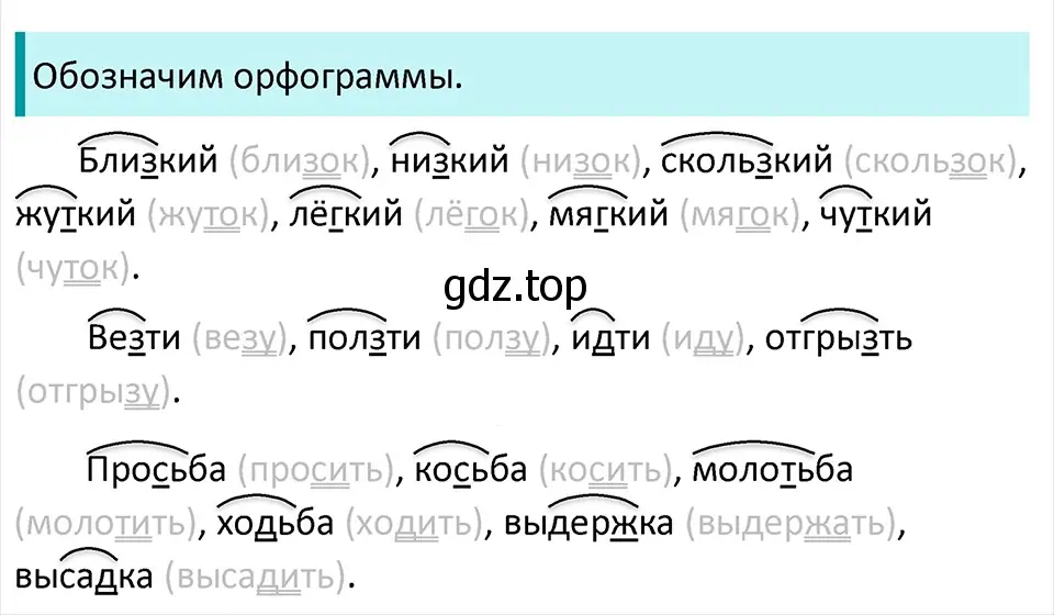 Решение 4. Номер 413 (страница 195) гдз по русскому языку 5 класс Ладыженская, Баранов, учебник 1 часть