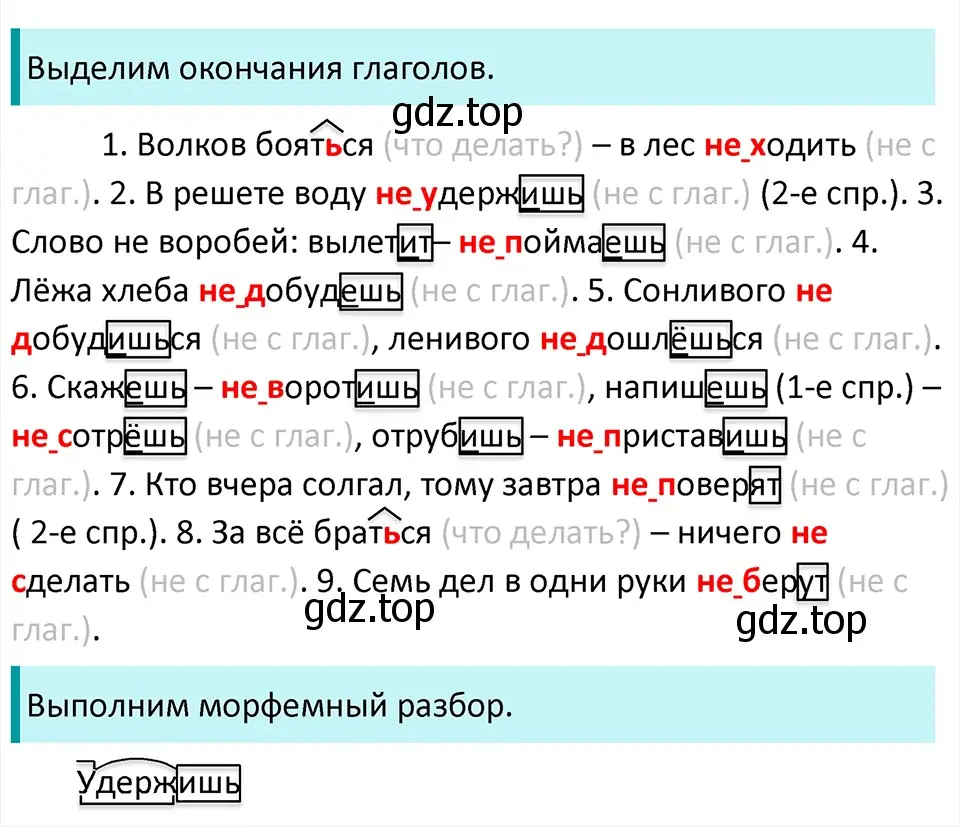 Решение 4. Номер 43 (страница 20) гдз по русскому языку 5 класс Ладыженская, Баранов, учебник 1 часть