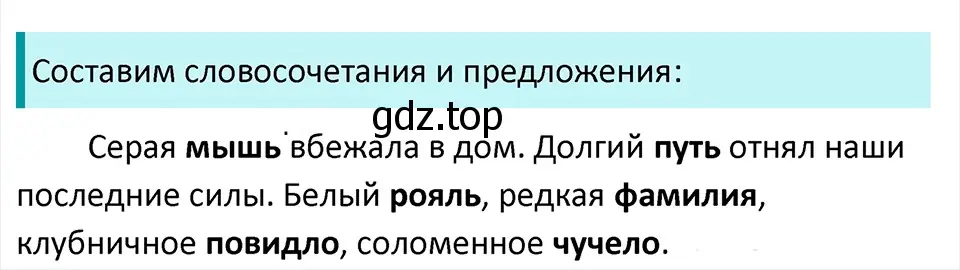 Решение 4. Номер 486 (страница 19) гдз по русскому языку 5 класс Ладыженская, Баранов, учебник 2 часть