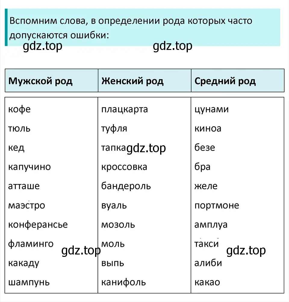 Решение 4. Номер 487 (страница 19) гдз по русскому языку 5 класс Ладыженская, Баранов, учебник 2 часть