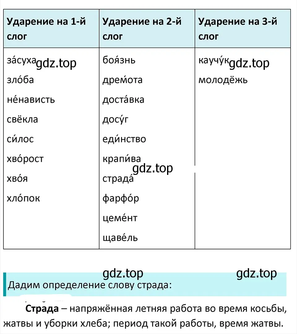 Решение 4. Номер 497 (страница 24) гдз по русскому языку 5 класс Ладыженская, Баранов, учебник 2 часть