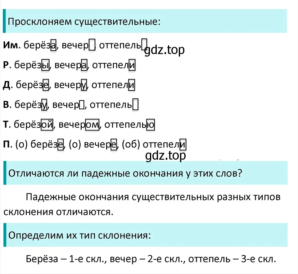 Решение 4. Номер 501 (страница 25) гдз по русскому языку 5 класс Ладыженская, Баранов, учебник 2 часть