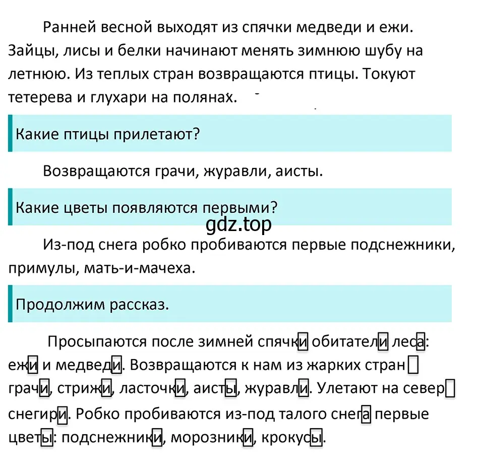 Решение 4. Номер 537 (страница 39) гдз по русскому языку 5 класс Ладыженская, Баранов, учебник 2 часть