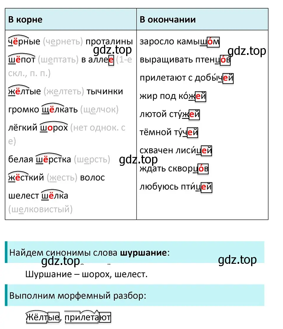 Решение 4. Номер 542 (страница 41) гдз по русскому языку 5 класс Ладыженская, Баранов, учебник 2 часть