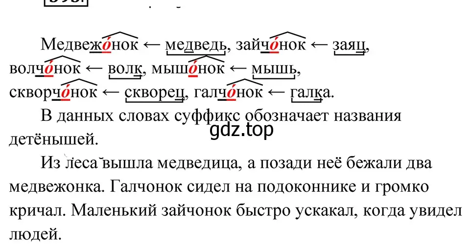 Решение 4. Номер 595 (страница 61) гдз по русскому языку 5 класс Ладыженская, Баранов, учебник 2 часть