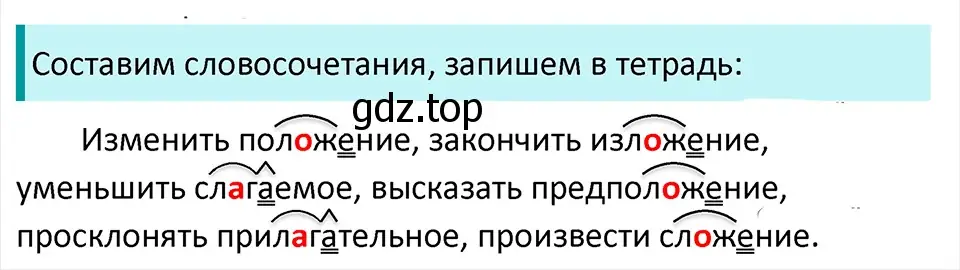 Решение 4. Номер 597 (страница 62) гдз по русскому языку 5 класс Ладыженская, Баранов, учебник 2 часть