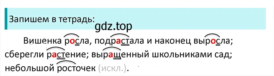 Решение 4. Номер 609 (страница 67) гдз по русскому языку 5 класс Ладыженская, Баранов, учебник 2 часть