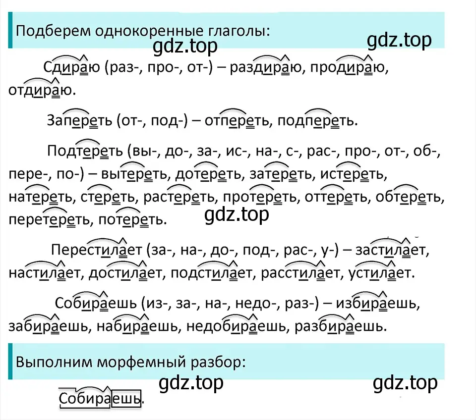 Решение 4. Номер 724 (страница 118) гдз по русскому языку 5 класс Ладыженская, Баранов, учебник 2 часть