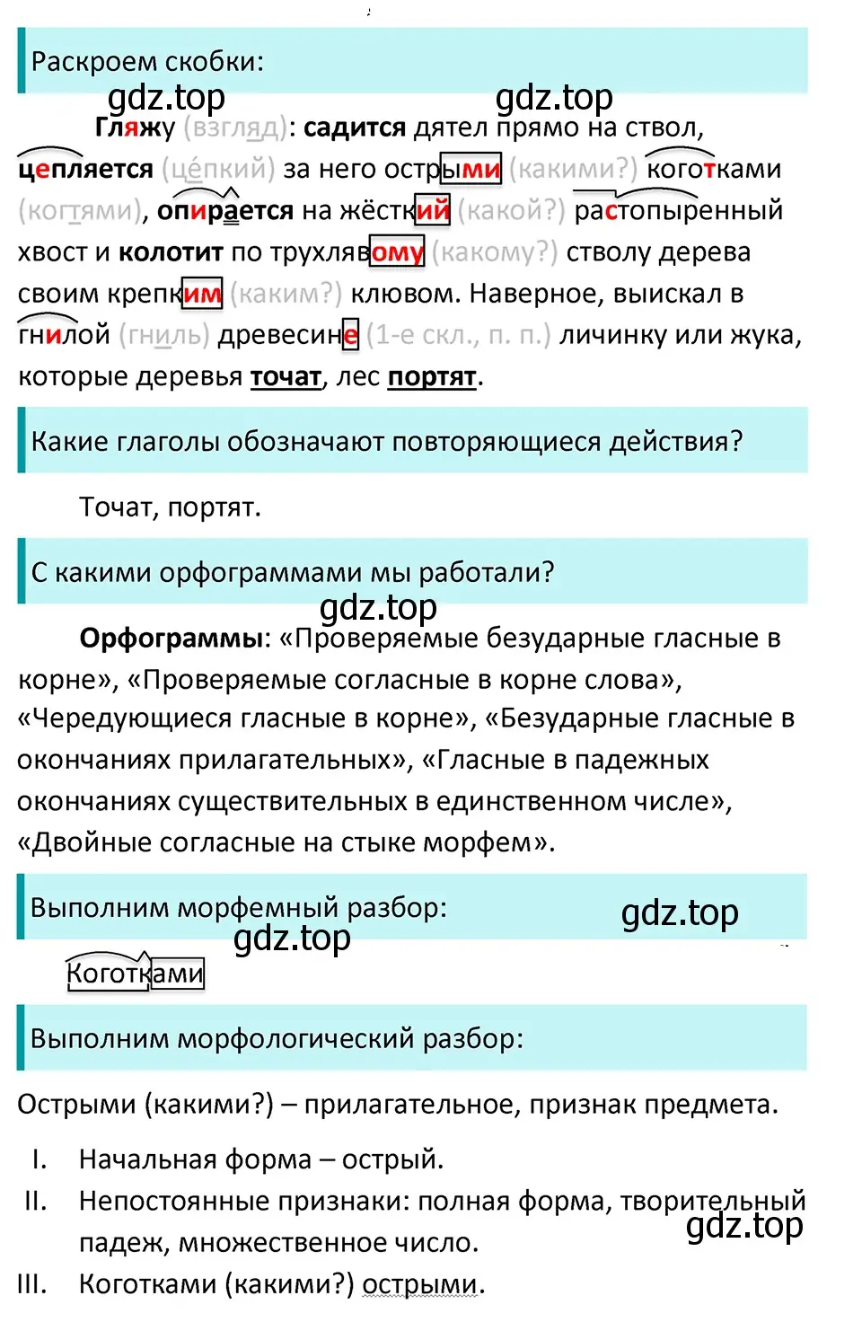 Решение 4. Номер 737 (страница 124) гдз по русскому языку 5 класс Ладыженская, Баранов, учебник 2 часть