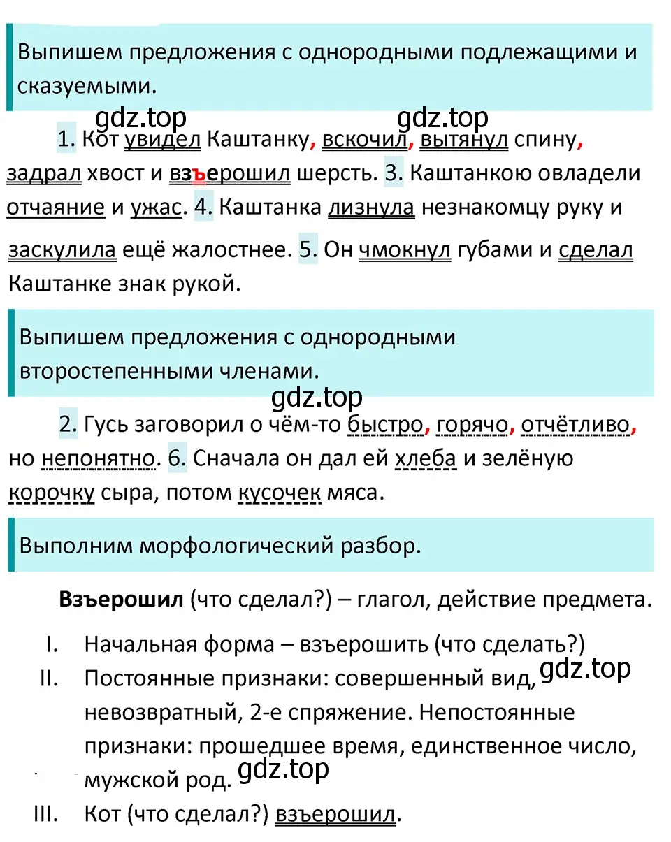 Решение 4. Номер 888 (страница 196) гдз по русскому языку 5 класс Ладыженская, Баранов, учебник 2 часть