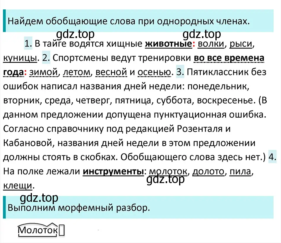 Решение 4. Номер 893 (страница 198) гдз по русскому языку 5 класс Ладыженская, Баранов, учебник 2 часть