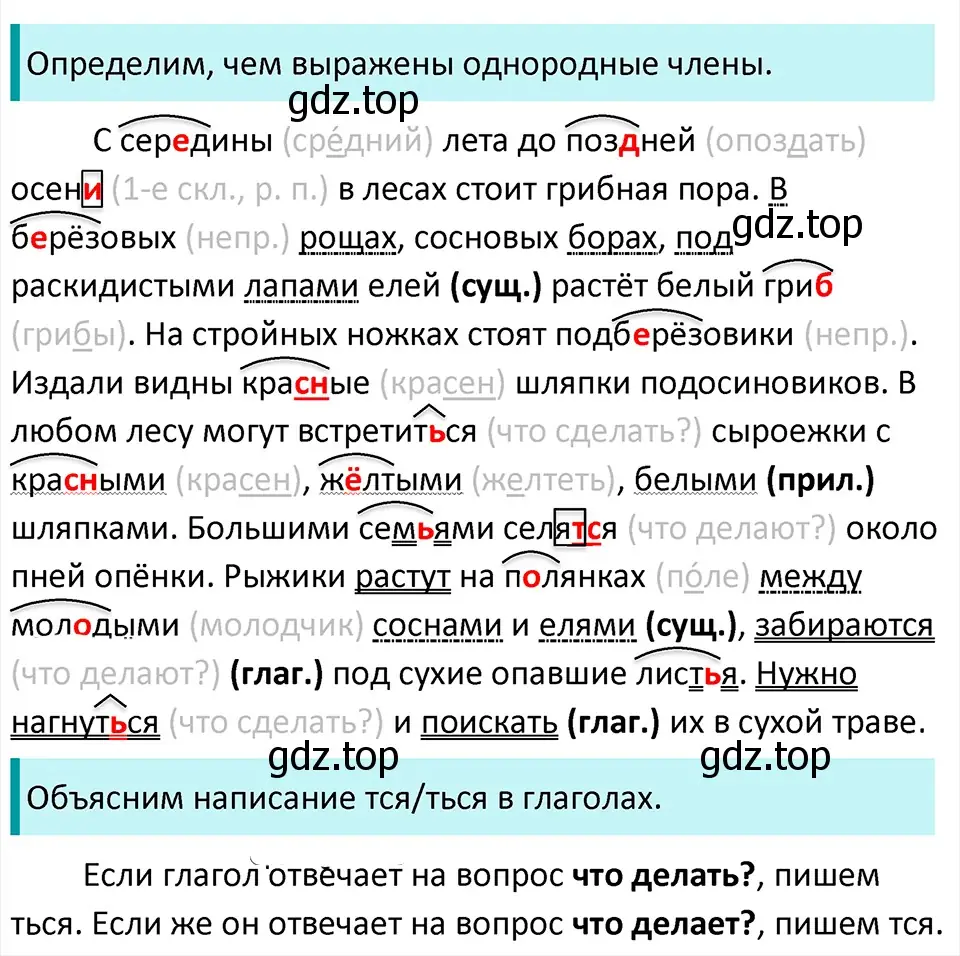 Решение 4. Номер 894 (страница 198) гдз по русскому языку 5 класс Ладыженская, Баранов, учебник 2 часть